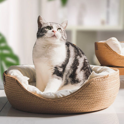 Handmade Paper Rope Pet Cat/Dog Mat Bed Sofa with Removable Cushion-100% brand new & high quality - ComfyLuxe